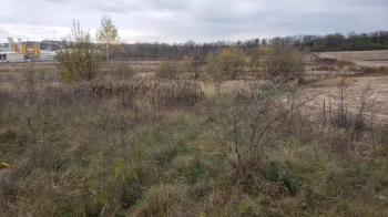 Київський підприємець викупив ще одну ділянку за 3,3 млн грн на Львівщині