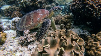 16 червня: церковні свята, іменинники, прикмети та заборони