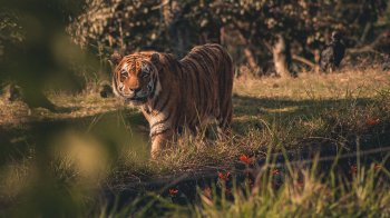 29 липня: церковні свята, іменинники, прикмети та заборони