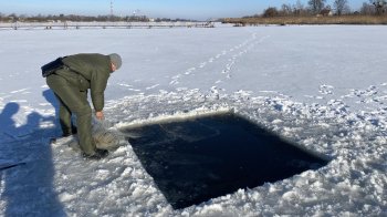 Чотирьох рибалок з Львівщини оштрафують за незаконний вилов