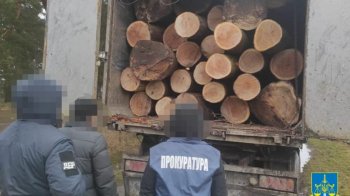 На Львівщині лісник організував злочинну групу і вкрав деревини на 4 млн грн