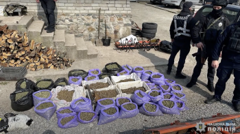 У Запоріжжі затримали вирощувача канабісу