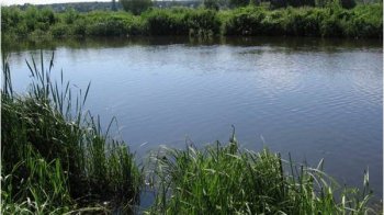 Орендаря через суд зобов'язали повернути Стрийській громаді 100 га землі зі ставком