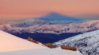 У Карпатах схили вкрились кригою: туристів попереджають про небезпеку