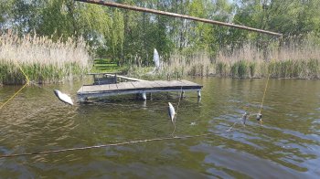 На водоймах Львівщини екоінспектори виявили 100 метрів незаконних сіток для вилову риби