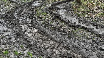 У Львові люди обурені комунальниками, які важкою технікою їздили у Скнилівському парку