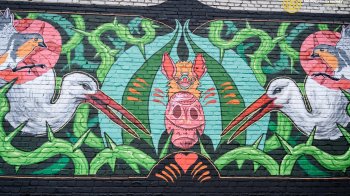 П’ять нових муралів з’явилися у Шептицькому на Львівщині