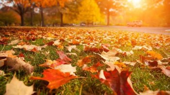 У Львові та області синоптики на 22 жовтня прогнозують потепління