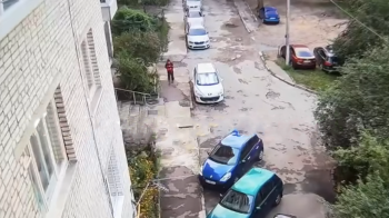 Нападник хотів вбити маму на два дні раніше — донька Фаріон