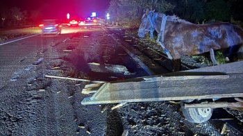 Водійка Mitsubishi в'їхала у підводу на Золочівщині: загинула жінка