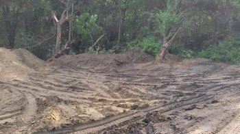 У Львові під будівництво зачищають парк у рекреаційній зоні