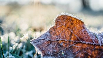 На Львівщині можуть бути заморозки: погода на 23 квітня Фото: Pexels
