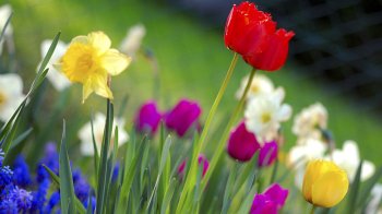 До 23 градусів тепла: погода на Львівщині 21 травня