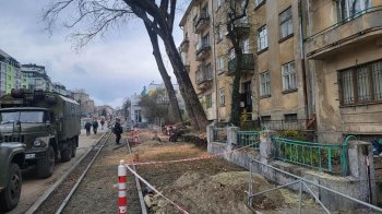 На вулиці Шевченка вирубали дерева