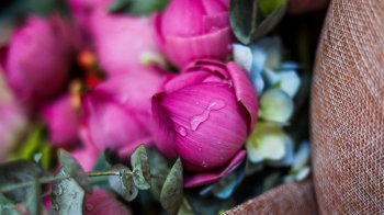 Туман та без опадів: якою буде погода на Львівщині 5 червня