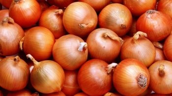 Цибуля подорожчає: аналітики називають причини