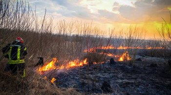 На Львівщині серед обгорілої трави знайшли тіло 72-річної жінки