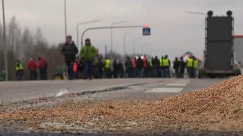 Обсяги імпорту української сільгосппродукції в ЄС істотно скоротять.