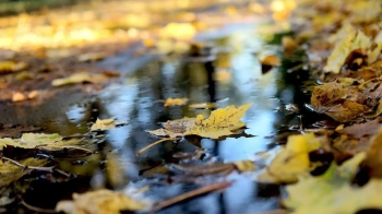 Погода Львів 16 листопада: прогноз на день і ніч