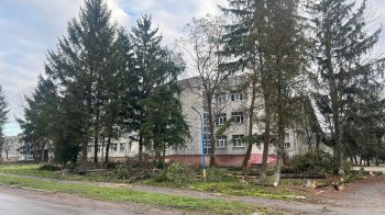 На Львівщині вчителька початкових класів побила учня у школі