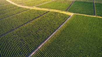 Землю повернули державі