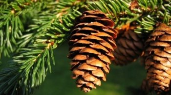 З якою погодою львів’яни проведуть річницю війни: прогноз синоптиків