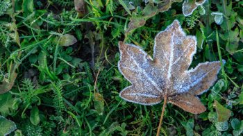 В Україні прогнозують перші заморозки: якою буде погода на Львівщині
