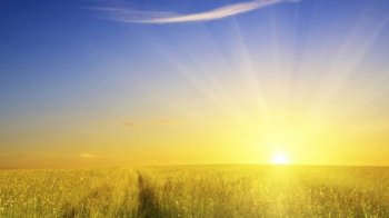 Тепло і сонячно: якою буде погода 3 червня у Львівській області