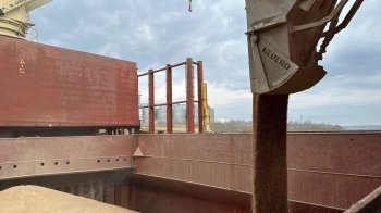 Україна поставила в Ефіопію та Сомалі 110 тисяч тонн зерна – Зеленський