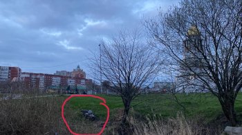 Львів’яни вкотре просять прибрати сміття в парку Івана Павла ІІ