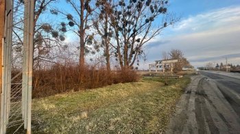 Підприємець викупив дві земельні ділянки поблизу Жовкви за понад 2,6 млн грн