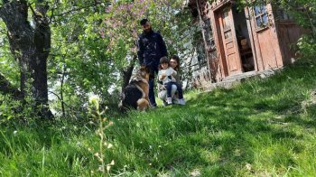 Волонтерять та доглядають за пасікою: історія родини зі Львівщини, яка є єдиними жителями хутора