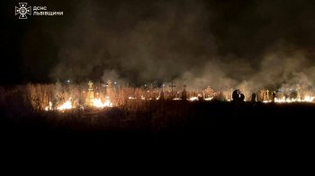 Цвинтар на Львівщині загорівся через займання сухої трави
