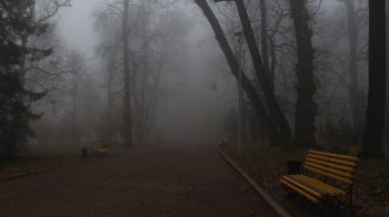 Погода у Львові та області 9 жовтня: туман, дощ і до +16°C