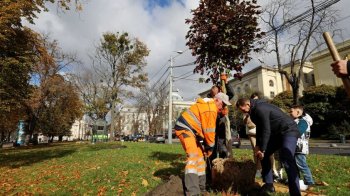 Акція з висадки дерев