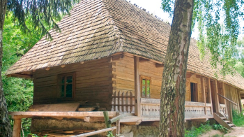 Працівника Шевченківського гаю у Львові звинуватили у домаганнях