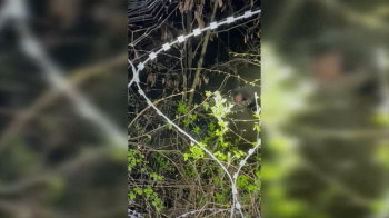 На Закарпатті прикордонник врятував життя чоловіку, який намагався перепливти Тису