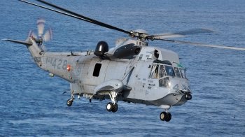 Sea King