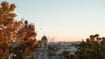 Календар свят на вересень 2026: скільки вихідних матимуть українці та важливі дати