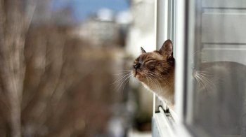 Ожеледиця і тепло: якою буде погода у Львові та області 13 лютого