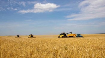 Аграрії Львівщини вже зібрали більше мільйона тонн зерна
