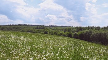 Громаді Дрогобиччини повернули майже 57 га землі через несплату оренди