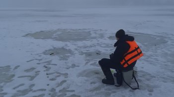 7 кг риби повернули у водойму під час рейдів на Львівщині