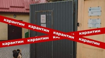 У ЛКП «Лев» розпочали підготовку до щорічного карантину: скільки він триватиме