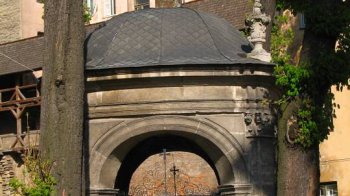 В Бернардинському дворику комунальники зріжуть два каштани