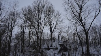 Залишки городища в урочищі Замчисько