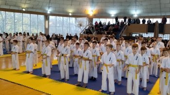 Спортсмени з Дрогобича та Жидачева вибороли призові місця на чемпіонаті з карате