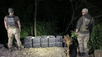 Везли пів тонни солі: прикордонники розповіли про порушників на пунктах пропуску