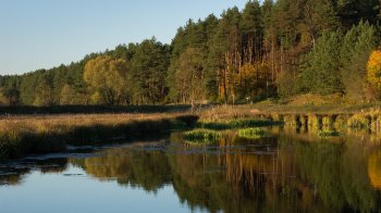 Селищній раді на Львівщині повернули земельну ділянку площею 22,5 га