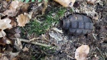 Міна, снаряди та граната: на Львівщині знайшли ще 4 застарілі боєприпаси